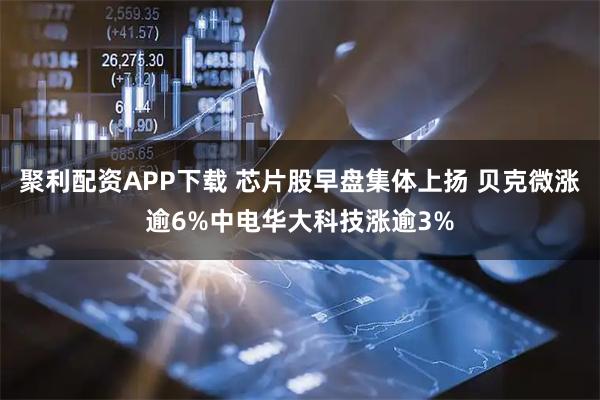 聚利配资APP下载 芯片股早盘集体上扬 贝克微涨逾6%中电华大科技涨逾3%