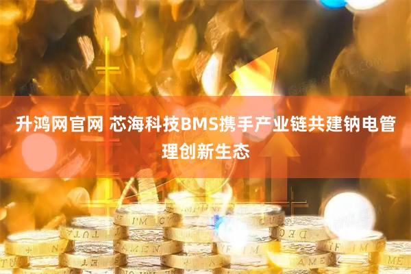 升鸿网官网 芯海科技BMS携手产业链共建钠电管理创新生态
