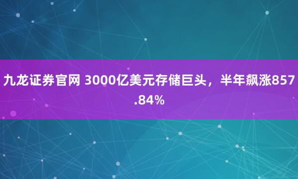 九龙证券官网 3000亿美元存储巨头，半年飙涨857.84%