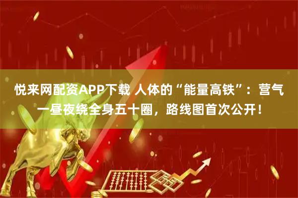 悦来网配资APP下载 人体的“能量高铁”：营气一昼夜绕全身五十圈，路线图首次公开！